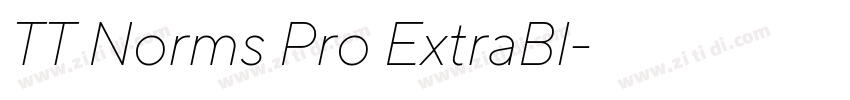 TT Norms Pro ExtraBl字体转换